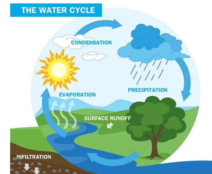 Why does it rain? (Year 4) - Blog - Hill Mead Primary School