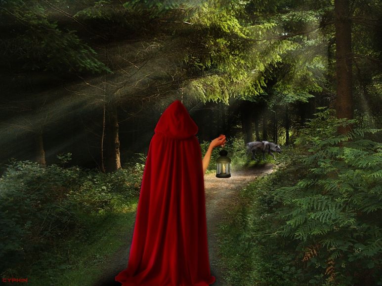 Using our senses - Little Red Riding Hood (Early Years) - Blog - Hill ...