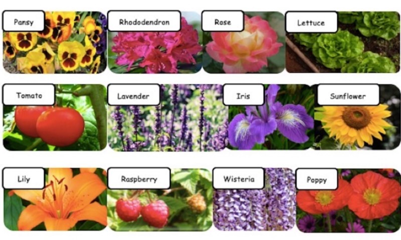 blog Header Image