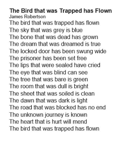 creative writing about a bird